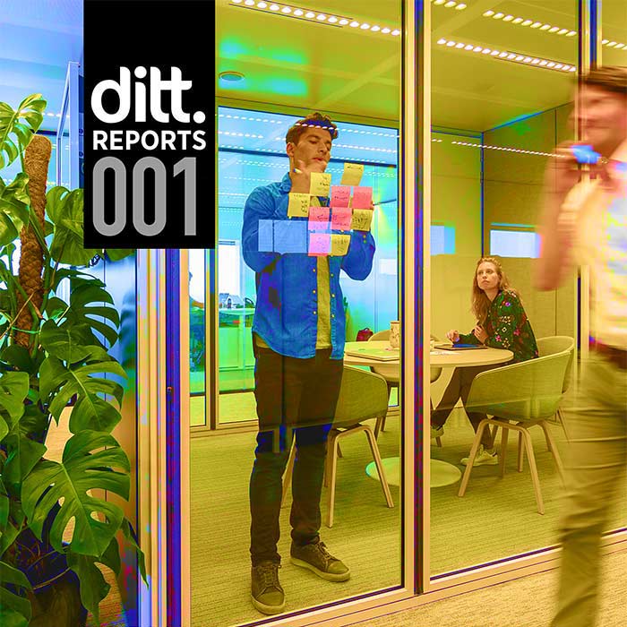 Ditt. report 001