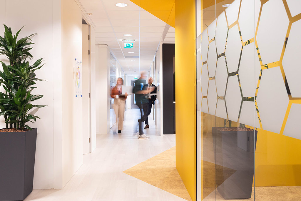 Mateboer - Zwolle lr -_-40 website